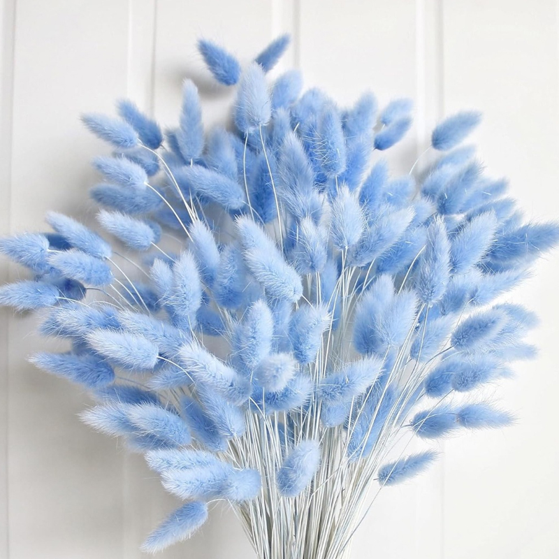 100PCS Blue Hare's-tail Grass  - Flower Girl Basket review and price